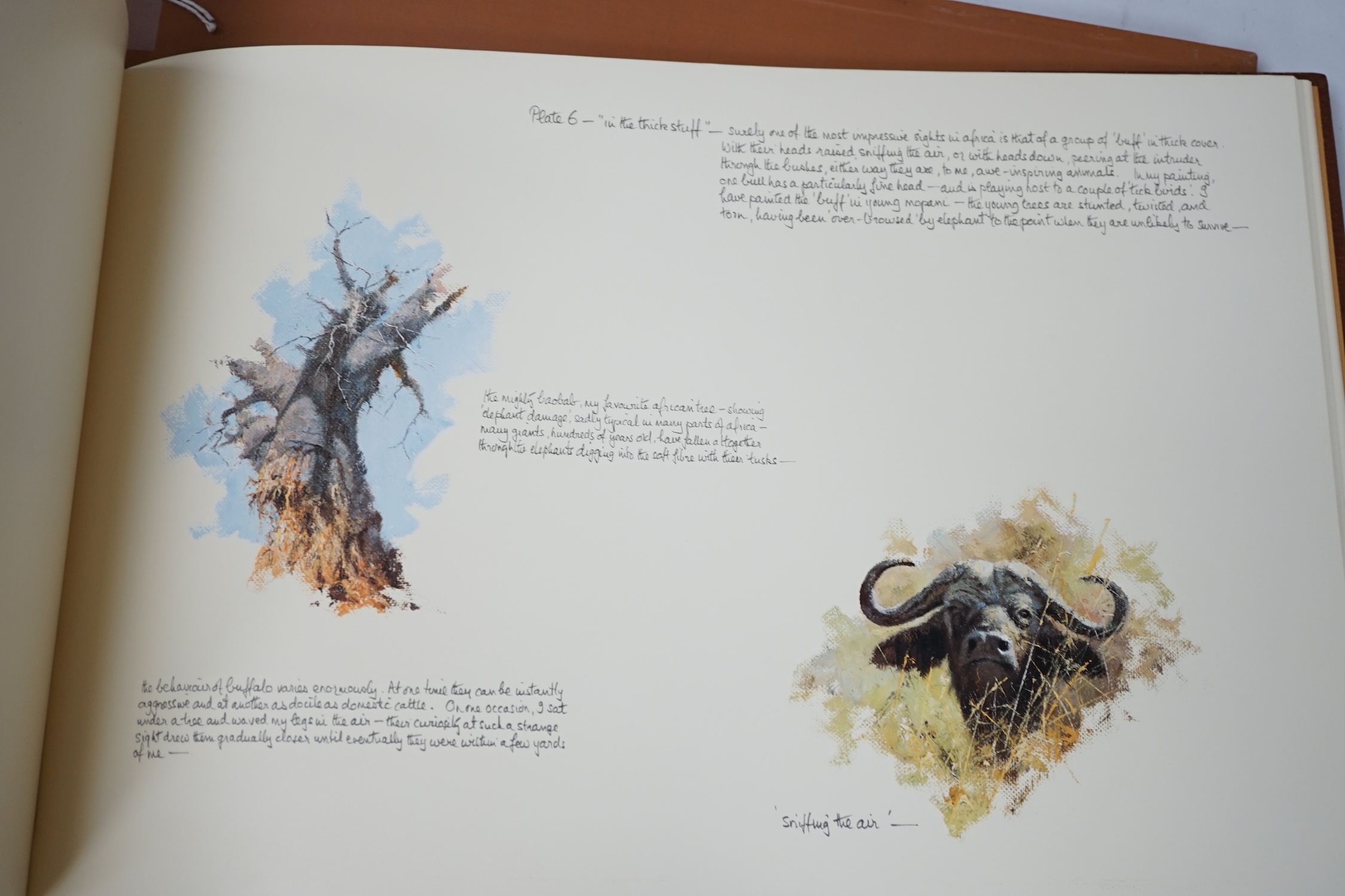 A folio of D. Shepherd signed prints of paintings of Africa and India